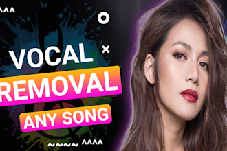 professional vocal removal for instrumentals