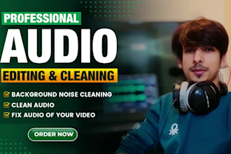 do professional audio editing, repair, enhancement and improve audio video