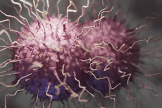 do 3d medical animation, anatomy animation, surgery animation, scientific video