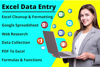 perform excel data entry, cleanup, and formatting