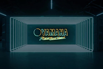 create a 2d or 3d logo reveal animation intro
