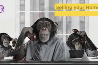 make funny monkey video ads for your business