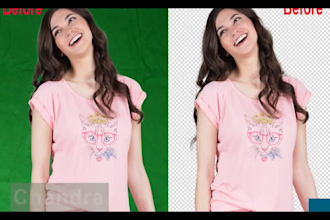 do perfectly green screen background remove from the jpg image,hair masking