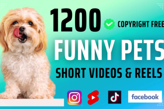 create 1200 funny pets dogs animals yt shorts video reel