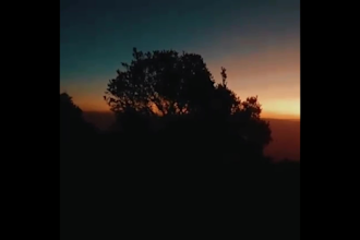 create professionally custom editing video for you