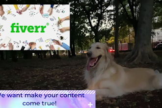 be your professional dog model for pet product photos, videos, and ugc content