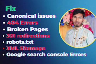 fix canonical issues, 404 errors, broken pages, and XML sitemaps