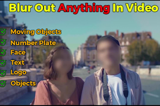 blur faces, objects, or anything else in your video professionally