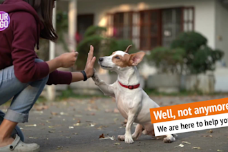 make a funny dog video for a real estate agent