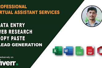 do web research, lead generation and fast data entry