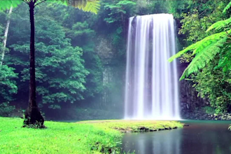 create bamboo water, meditation and chakra music videos