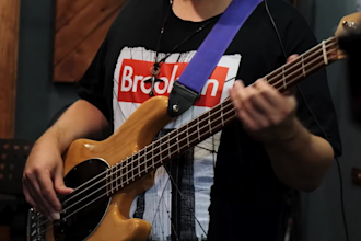 be your pro session bass player