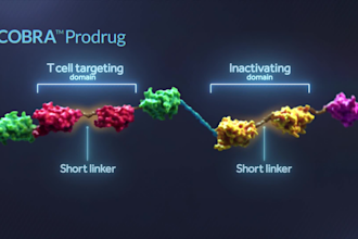 do 3d medical animation pharmaceutical moa biotech scientific explainer video