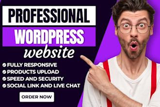 build wordpress ecommerce website, online store or redesign website