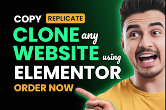 clone and rebrand any website in wordpress elementor with your content
