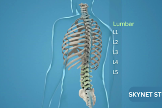 do 3d surgery animation 3d spine animation orthopedic biotech scientific video