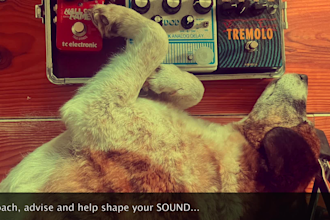 create immersive healing, binaural and solfeggio sounds