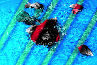 give your images the effect and passion that they need