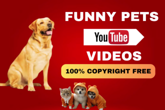 compile 50 funny pets and animal videos for youtube