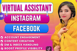 be virtual assistant for instagram, facebook and tiktok