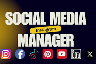 be your instagram manager for organic growth