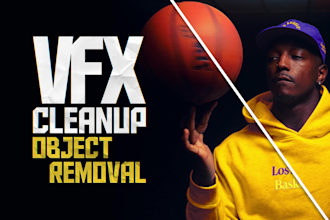 do vfx cleanup, remove object from video, wire removal