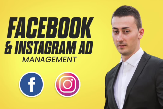 set up facebook and instagram ads for leads and sales