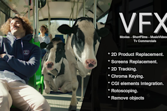 do visual effects for films, short films, music videos, tv commercial, youtube