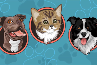 draw your pet or animal to cartoon style