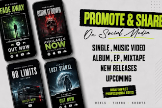 create amazing music promo video for your song