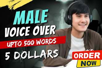 record a professional american english male voiceover