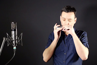 be your pro harmonica player