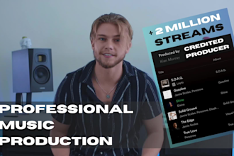 professionally produce a song for you