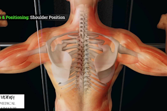 create quality 3d medical animation medical explainer video 3d anatomy visuals