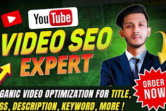 do best youtube video SEO expert and channel promotion