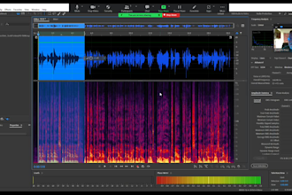 teach you the basics of adobe audition