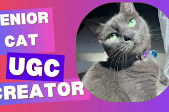 create pet ugc video ads for tiktok, instagram or facebook