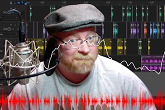 provide a professional deep male american voiceover