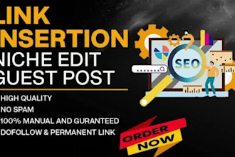 provide link insertion,and niche edits through blogger outreach