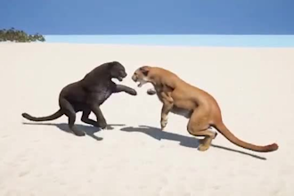 do realistic 3d animal animation, cgi 3d animal model and rig, fur, xgen, hair