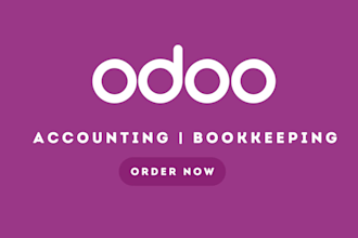 do professional odoo accounting and bookkeeping