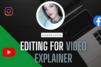 make custom explainer videos with stock clips