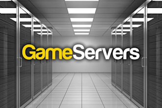 make any type of garrys mod, discord ecc server you wish
