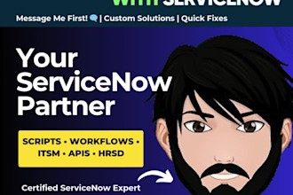provide servicenow development, architect support, and consulting services