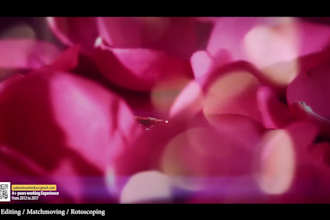 create amazing commercial brand video