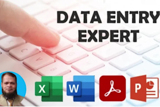 do quick data entry expert and excel data entry