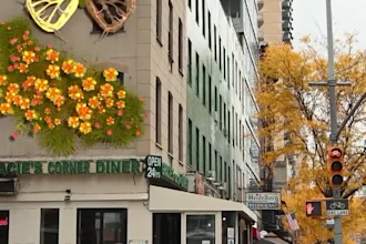 do 3d flower animation 3d plant animation 3d plant model 3d flower model flower