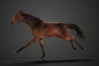 do 3d animal model, 3d animal animation, 3d creature, fur xgen 3d animal rigging