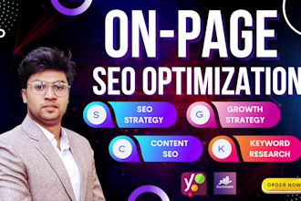 do onpage seo optimization and technical services for wordpress website