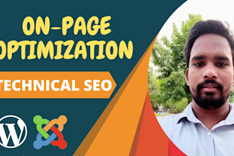 do complete technical SEO, speedy onpage optimization of wordpress, joomla, wix